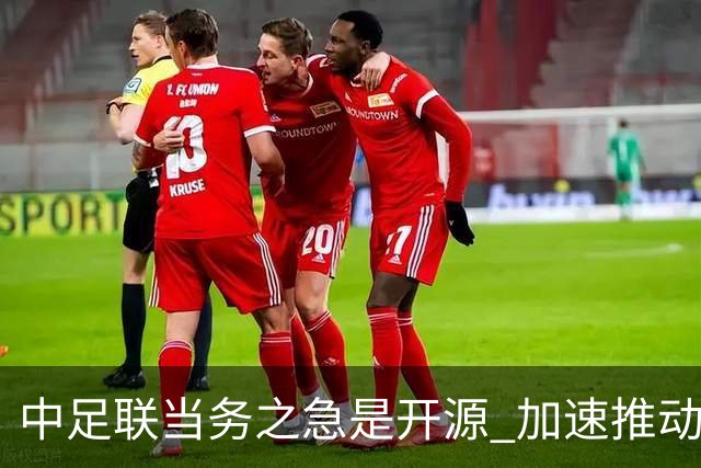 中足联当务之急是开源 加速推动中国足球职业化
